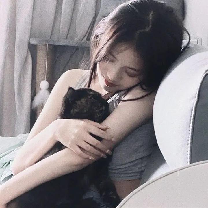妖狐苏妲己